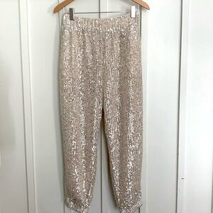 Blush Beige Sequined Jogger pants